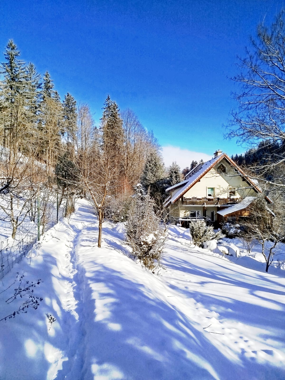 Wacówka – widok domu